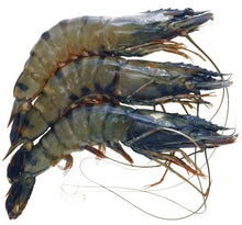Load image into Gallery viewer, black-tiger-shell-head-on-prawns