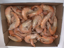 Load image into Gallery viewer, cooked-prawns-head-shell-on