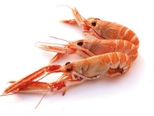 Load image into Gallery viewer, langoustines-dublin-bay-prawns
