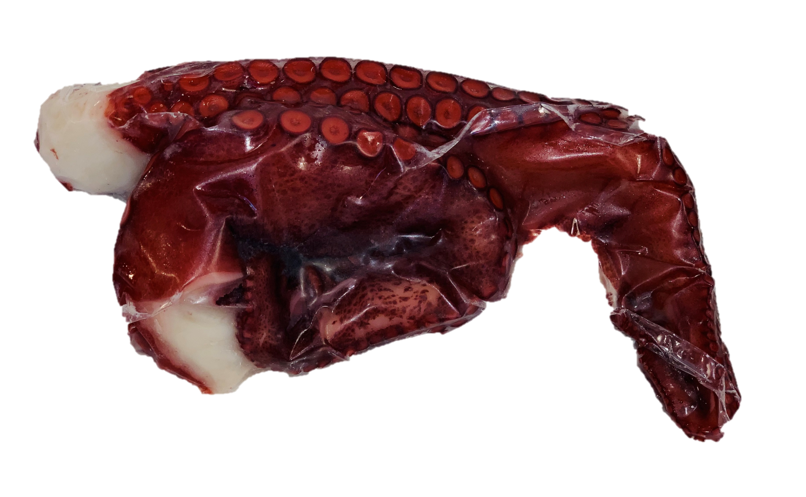 octopus-tenticles-cooked