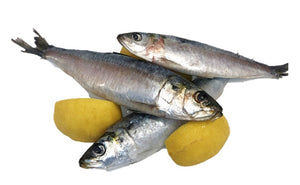 portuguese-sardines